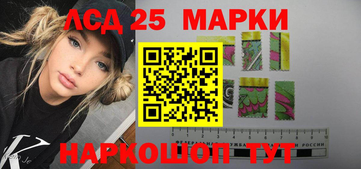 Курчалой  Лсд 25 экстази ecstasy  Вход с VPN  ЛСД экстази  Лсд 25 экстази кислота 